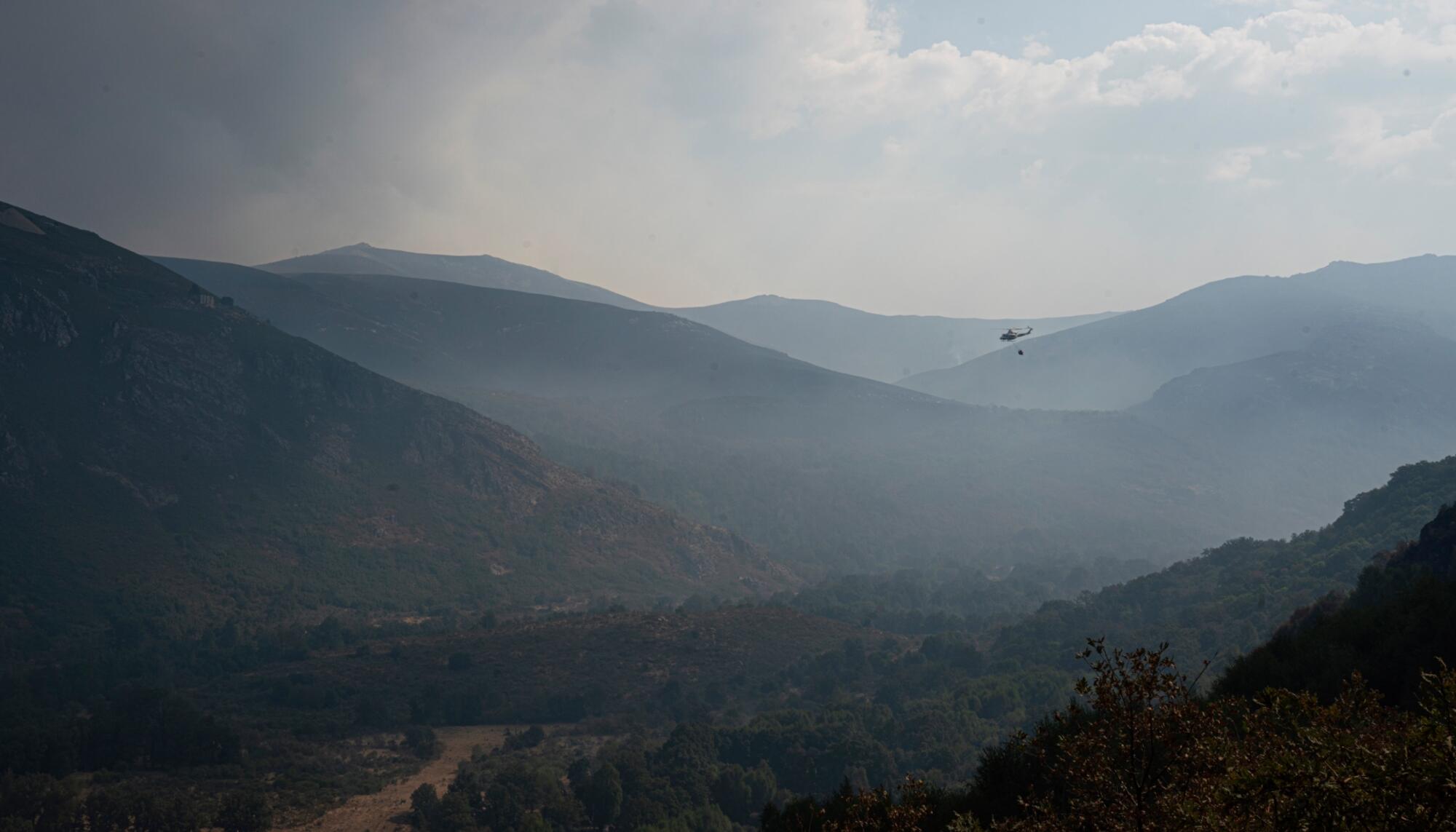 Incendio en Trevinca 2025 - 2